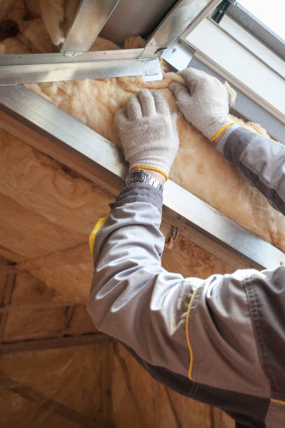 Best Commercial Insulation in Linln Park, CO