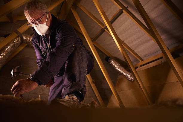 Best Insulation Maintenance and Repair in Linln Park, CO